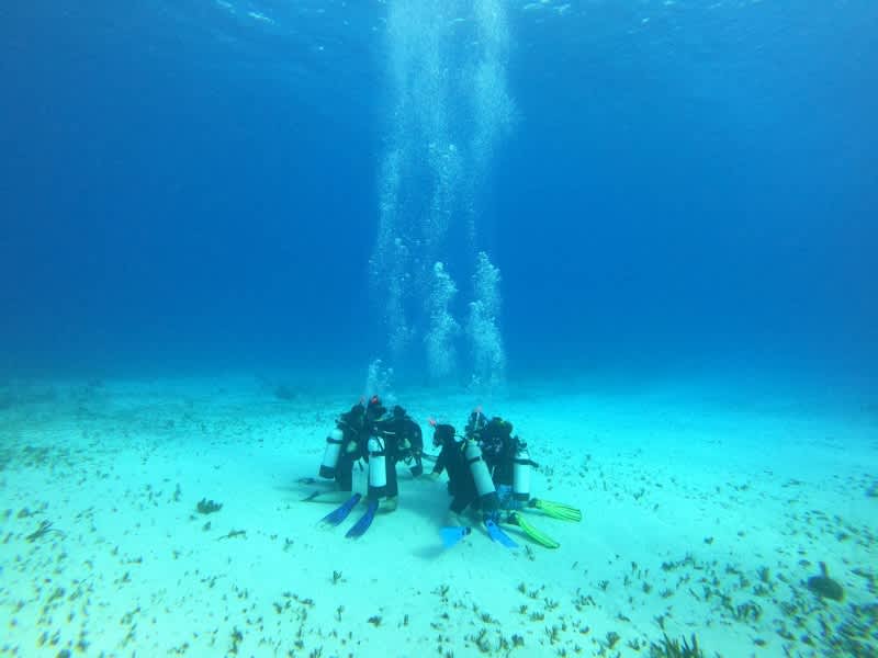 Hawaii Summer Expedition | Pacific Discovery
