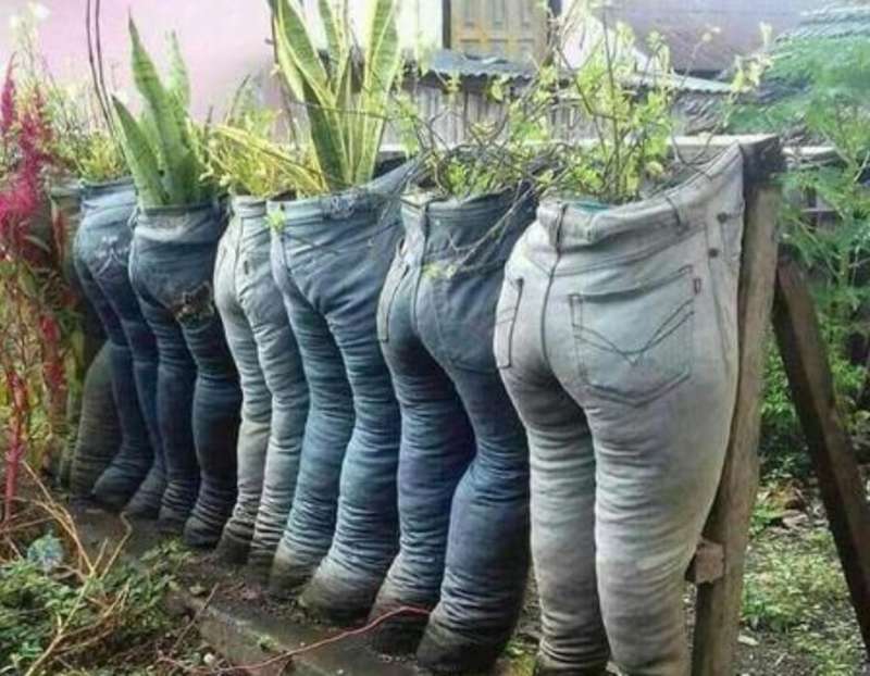 Herb Garden in Trouser pots