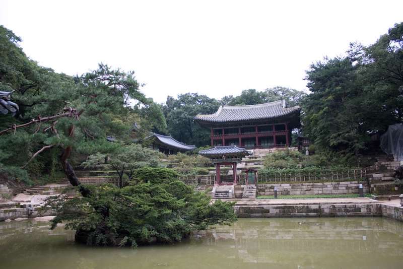 High School Abroad in South Korea!