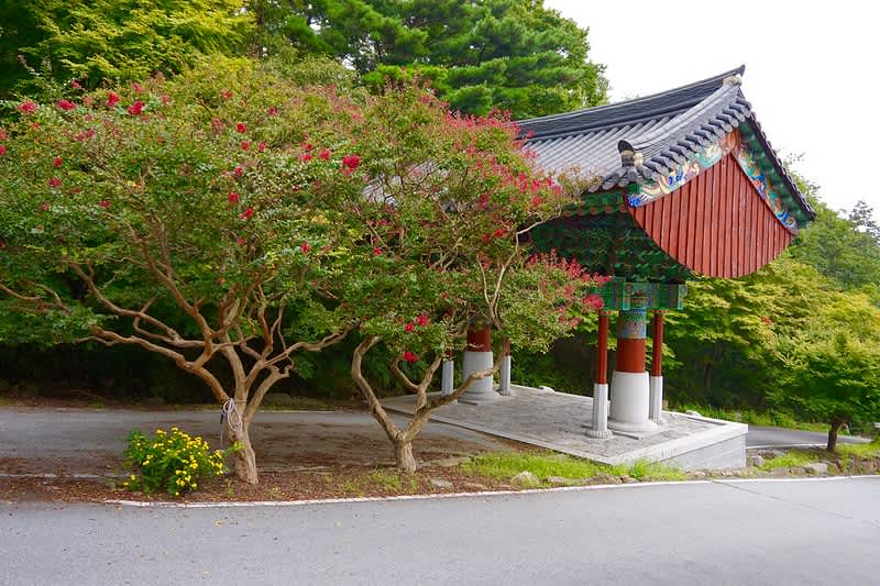 High School Abroad in South Korea!