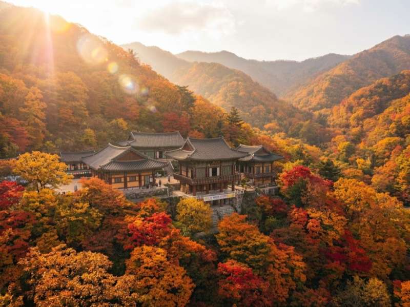 Hiker admiring a temple surrounded by autumn leaves in Korea