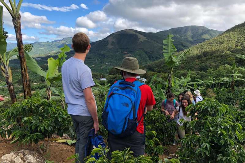 Hiking in jungle
