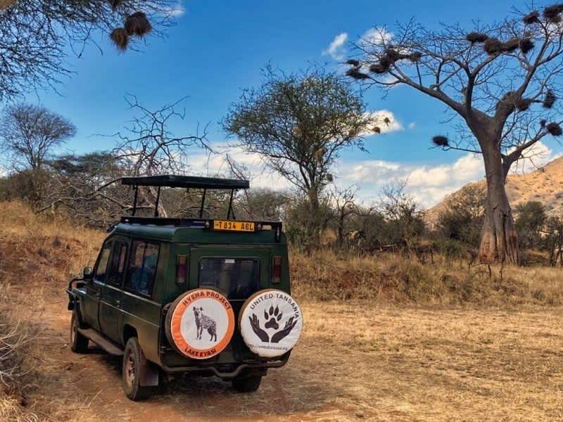 Hyena Research at Lake Eyasi