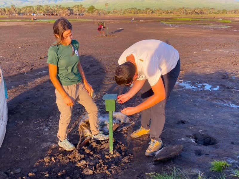 Hyena Research at Lake Eyasi
