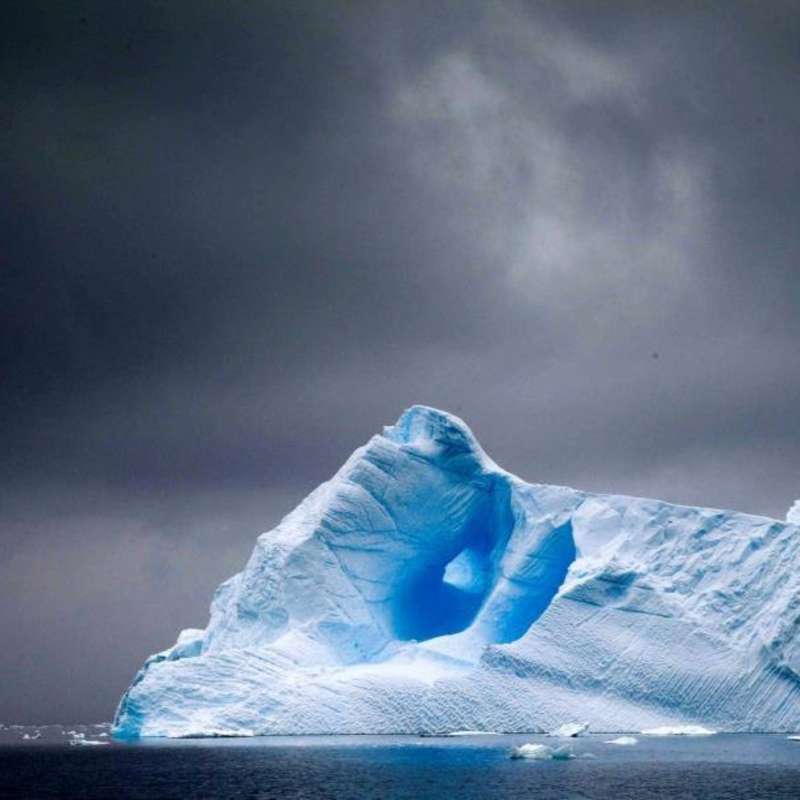 Iceberg