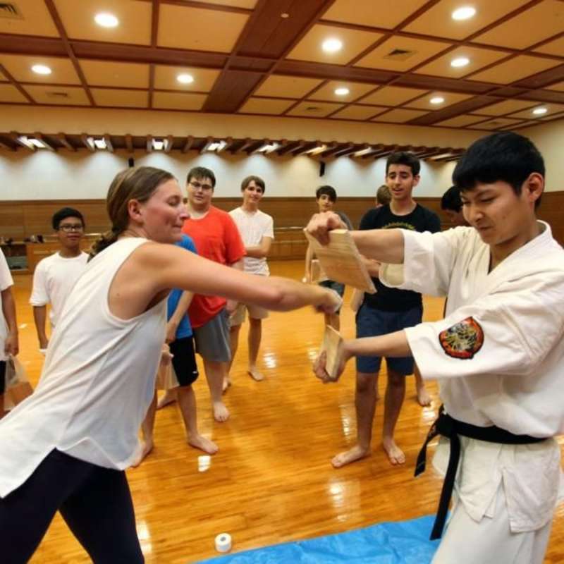 martial arts lesson japan