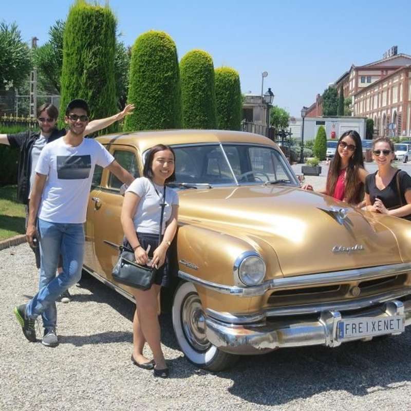 Volunteer in Barcelona