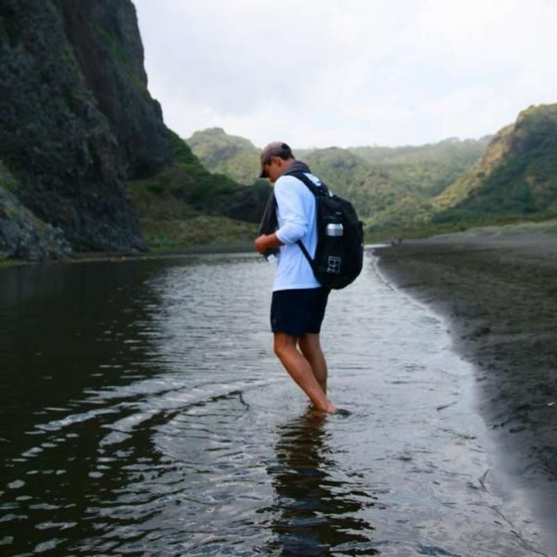 NZ Interns