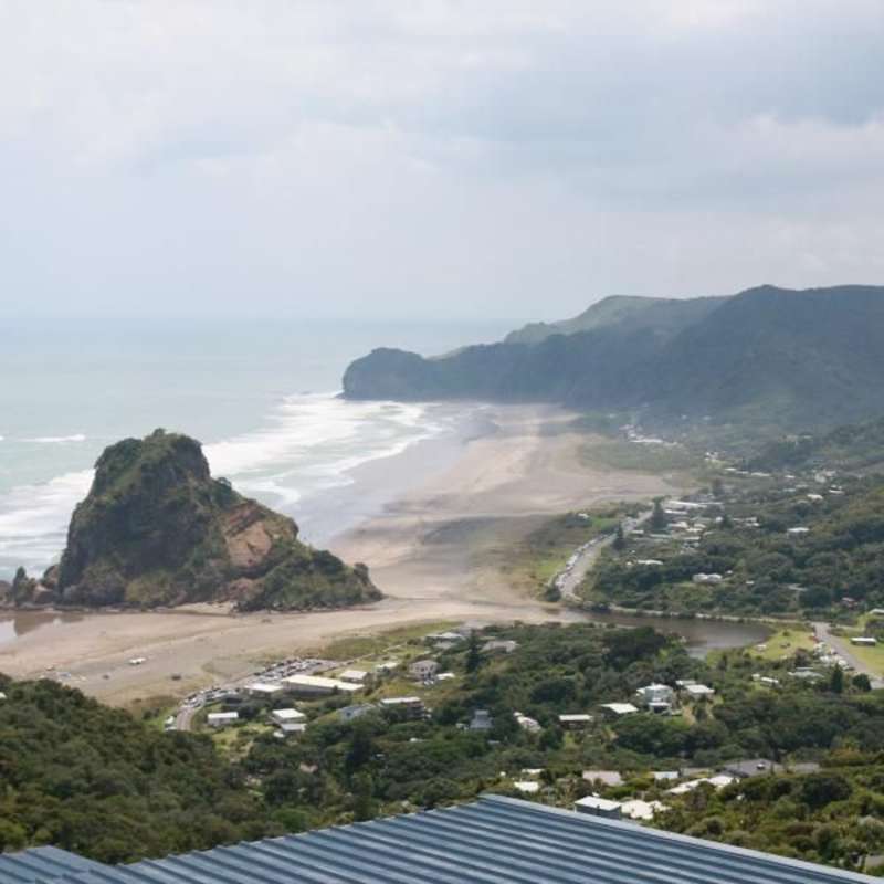 NZ Interns