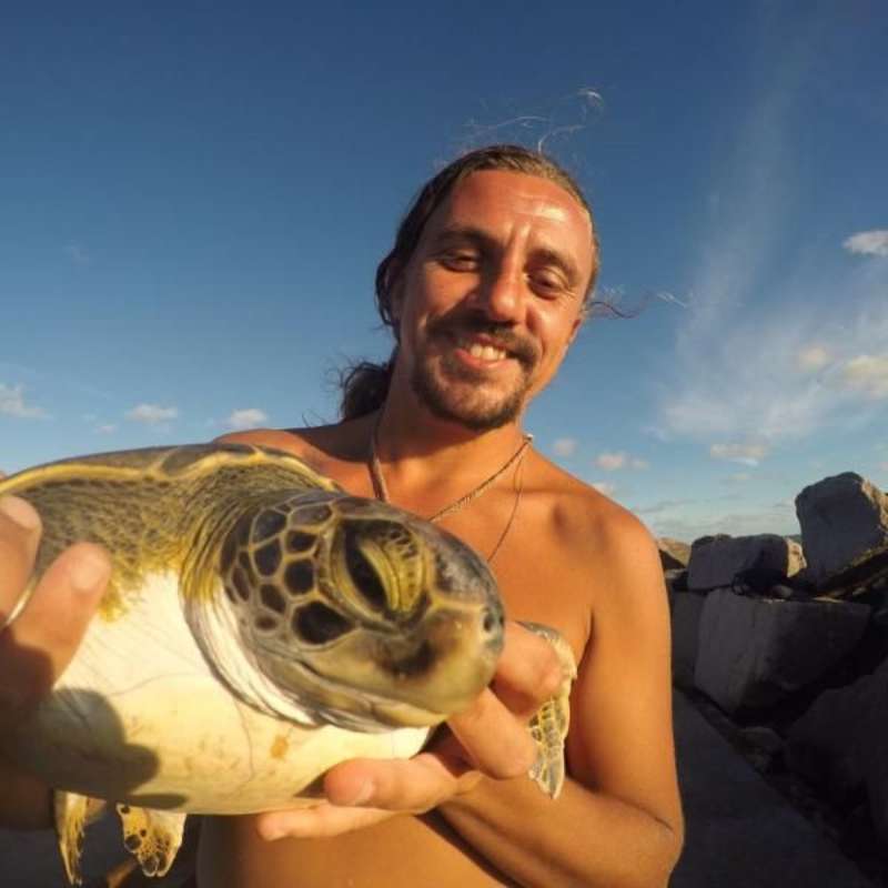 Volunteer in Sea Turtle Conservation