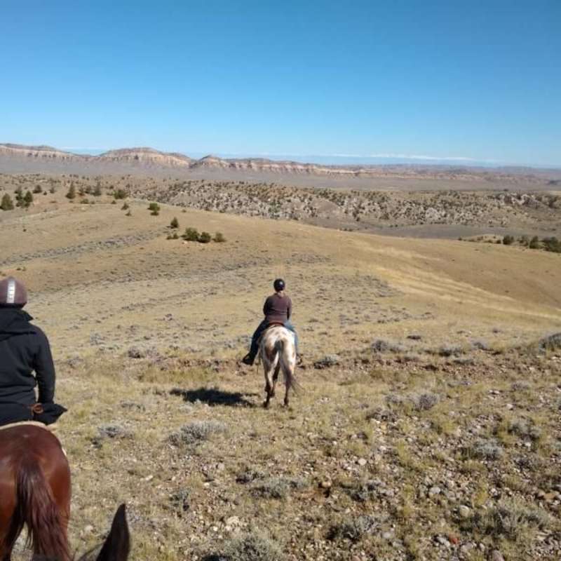 What a view!
