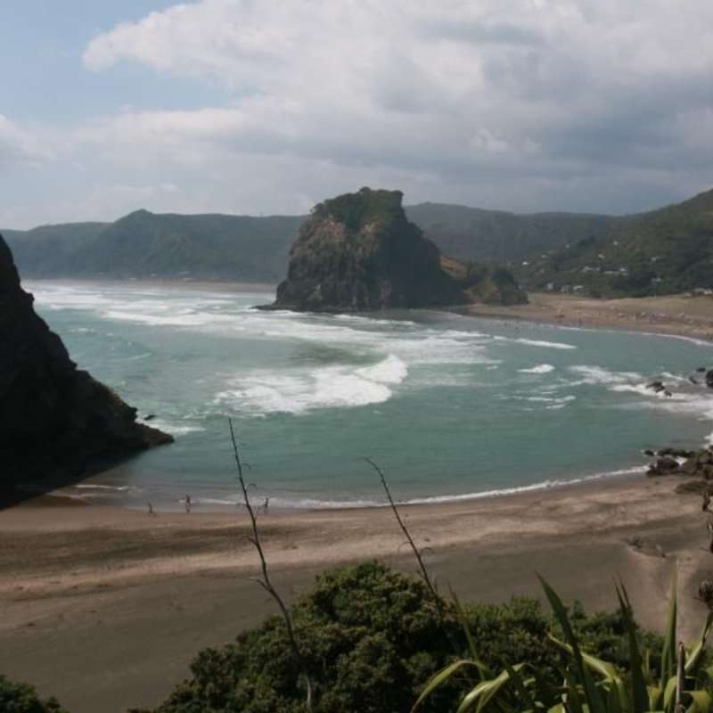 NZ Interns