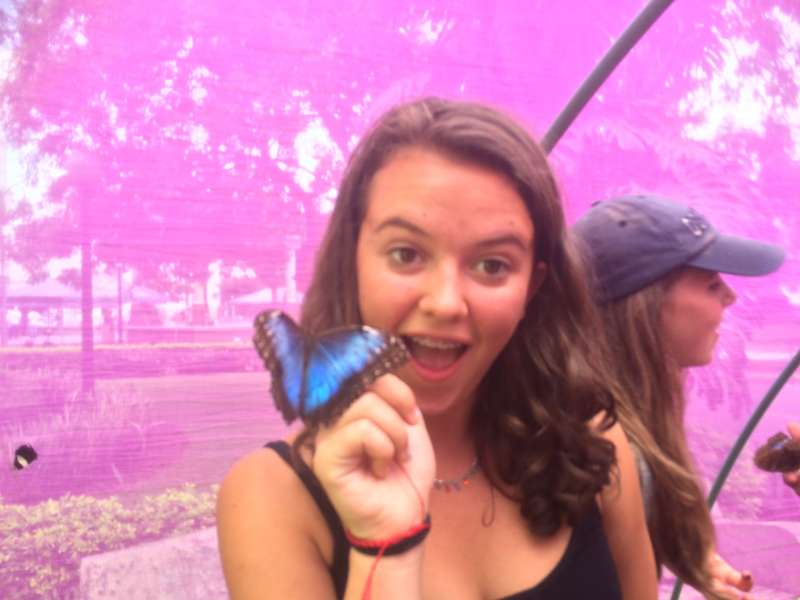 girl holding a butterfly