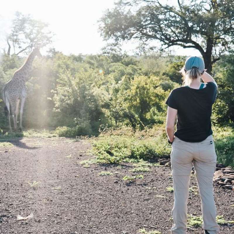 Volunteer in Vic Falls with IVHQ