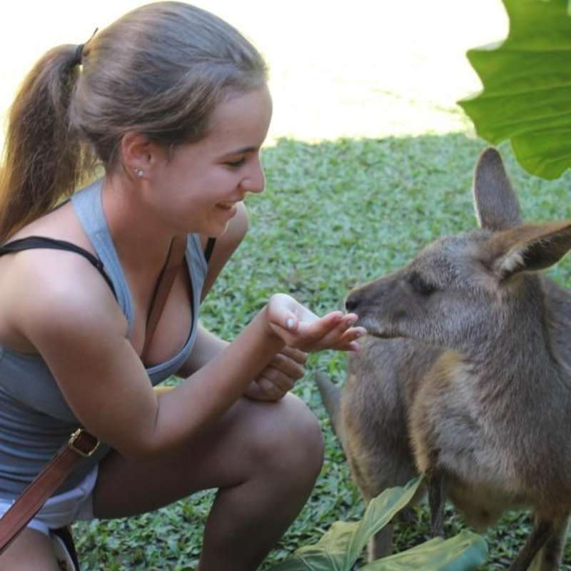 teen playing with a kangaroo australia