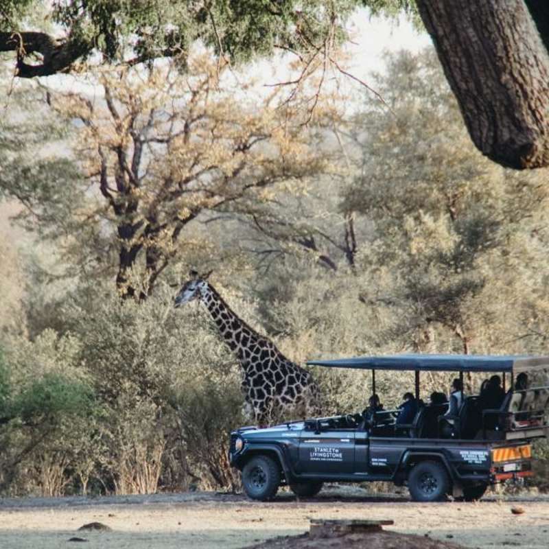 Volunteer in Vic Falls with IVHQ
