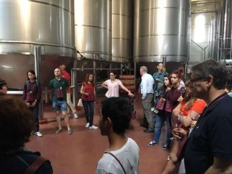 Internship in Wineries in Spain