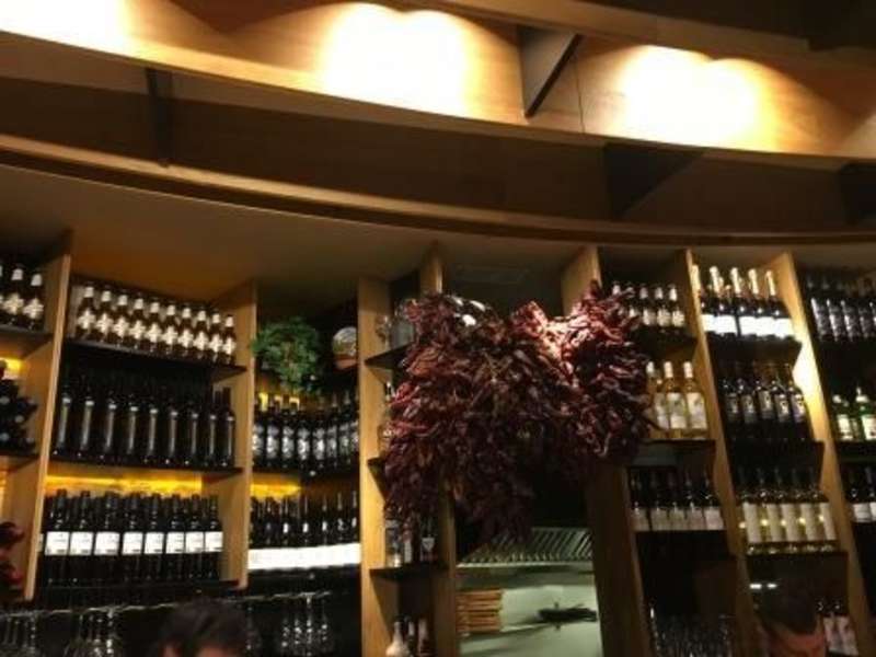 Internship in Wineries in Spain