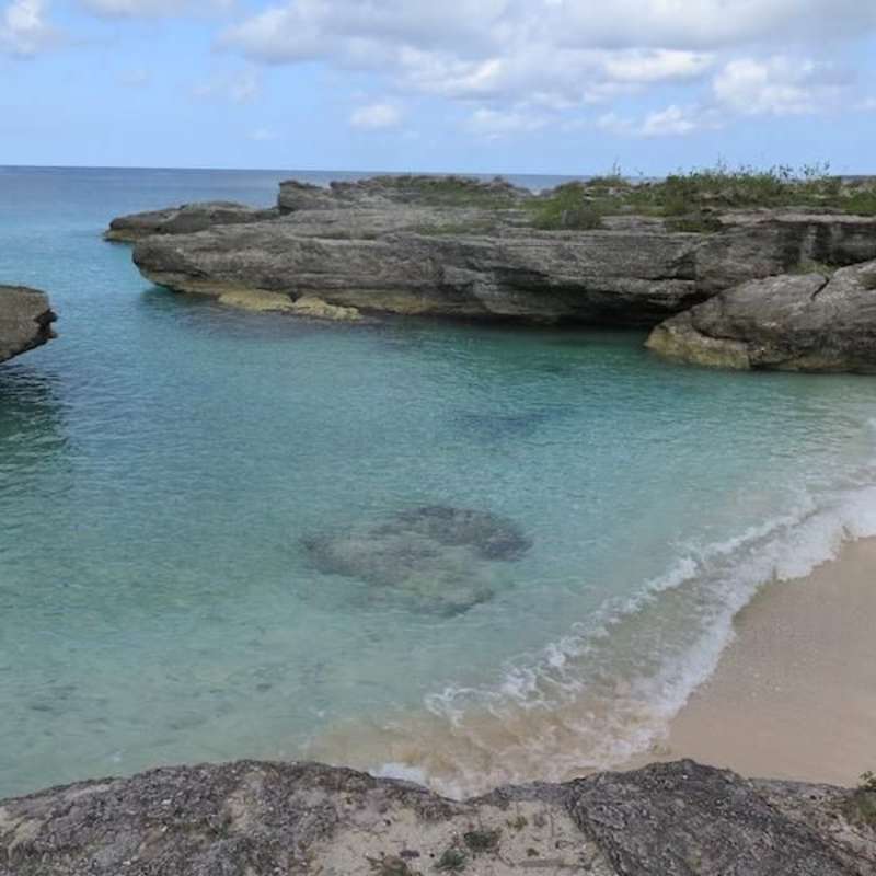 volunteer in cuba