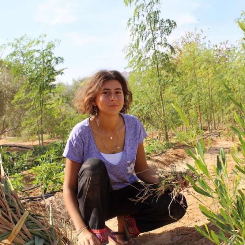 volunteer in the garden