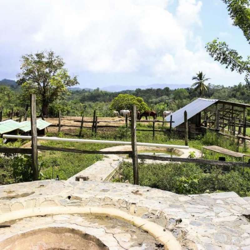 Farm life in the Dominican Republic