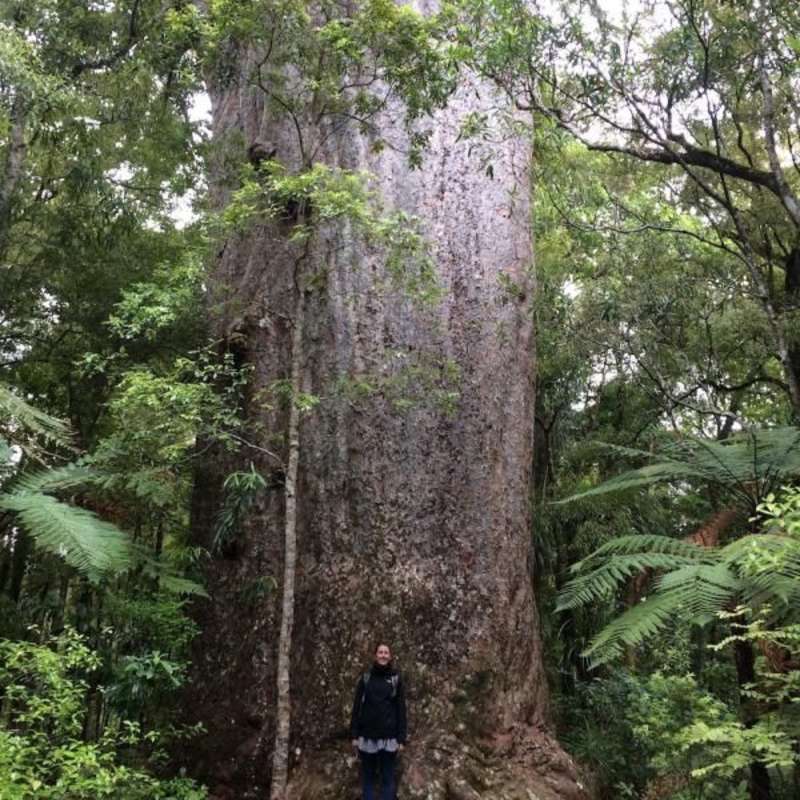 Volunteer in Nature Conservation