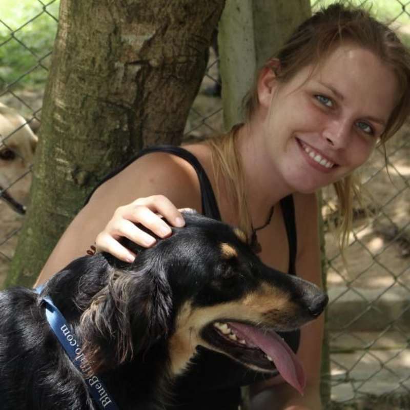 working at the animal rescue