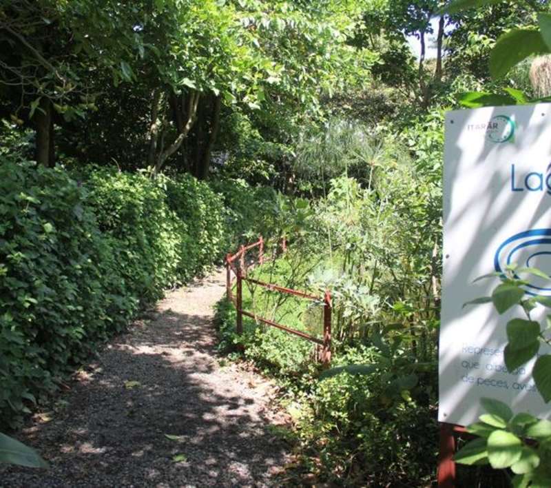 School Inbio Park