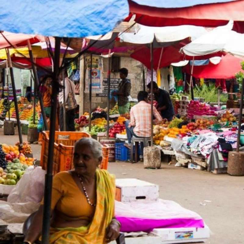 GoEco India - Road Trip India