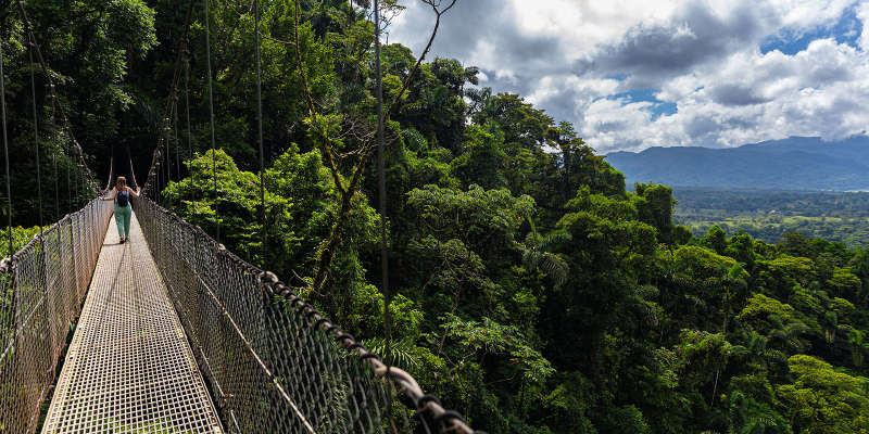 Intern abroad in Monteverde, Costa Rica