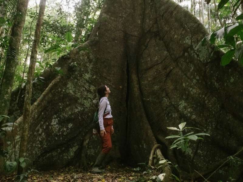 Intern standing beside a rainforest tree in the Peruvian Amazon