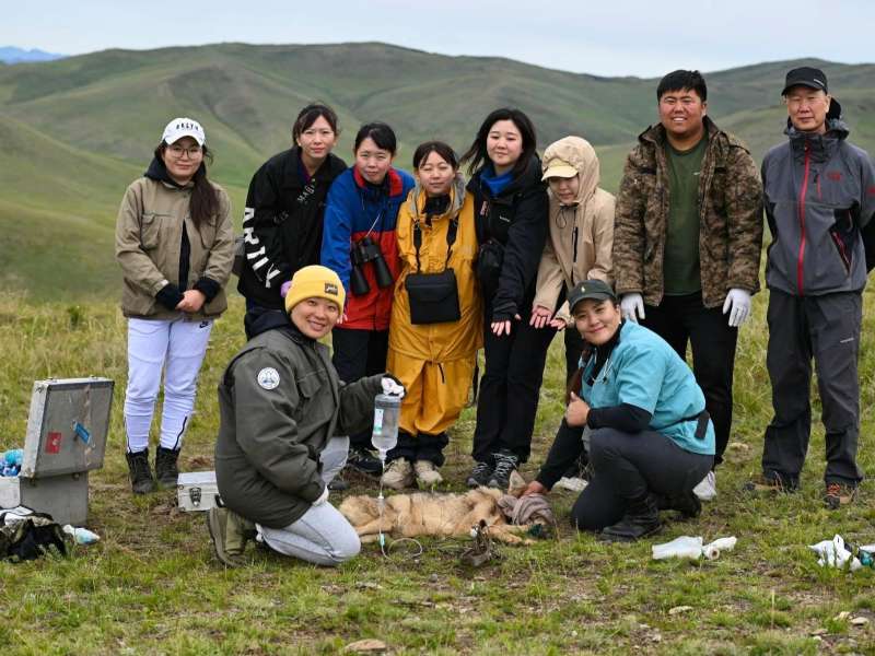 International volunteers during a project in Mongolia
