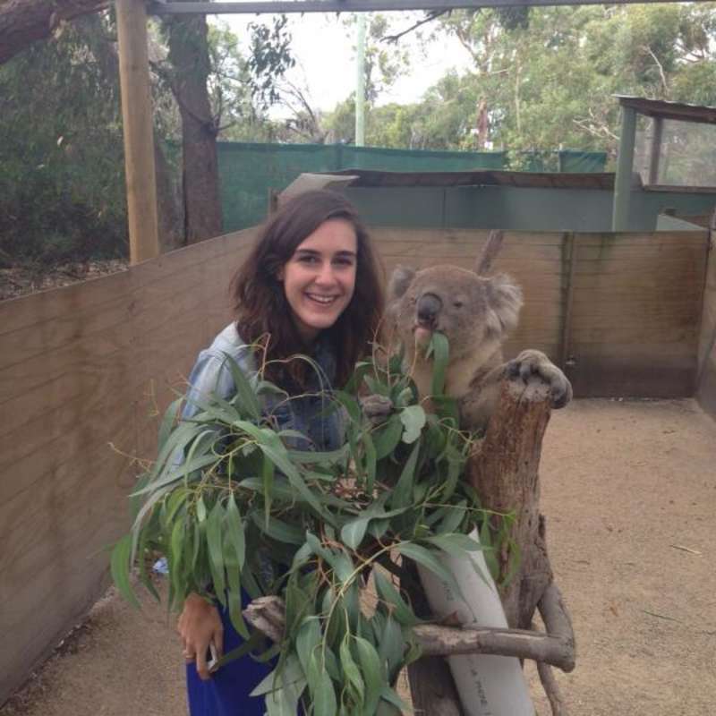 Sarah meets a Koala