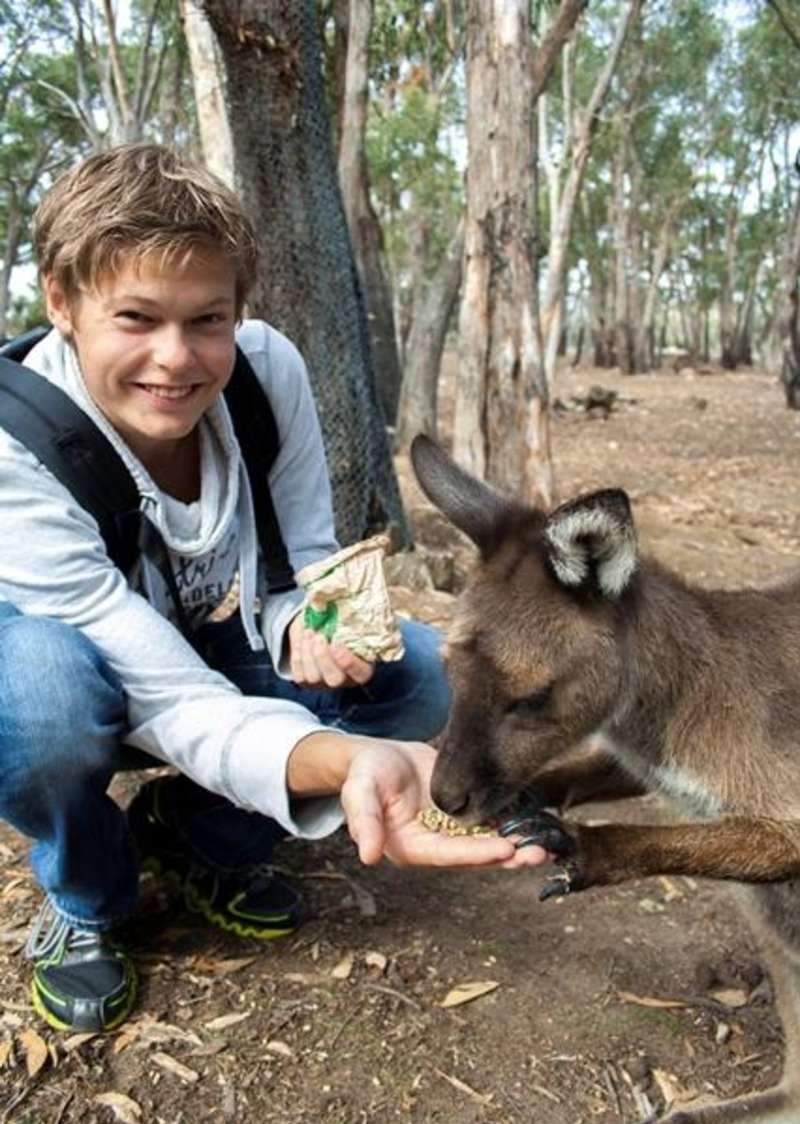 Roo time!
