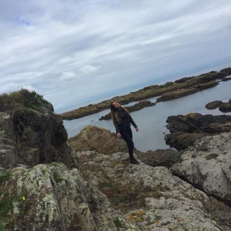 Internship New Zealand Wellington Weekend Fun Explore