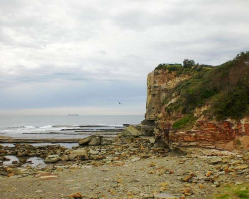 Intern in Sydney