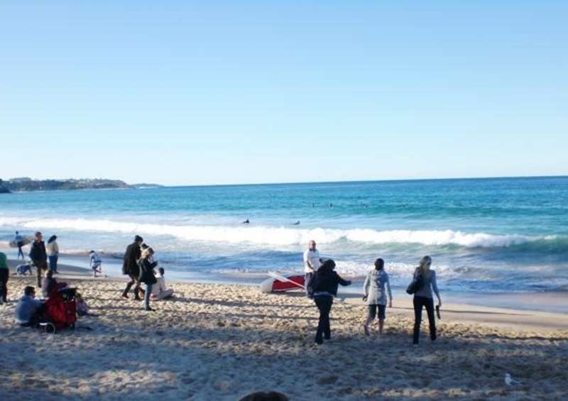 Intern in Sydney