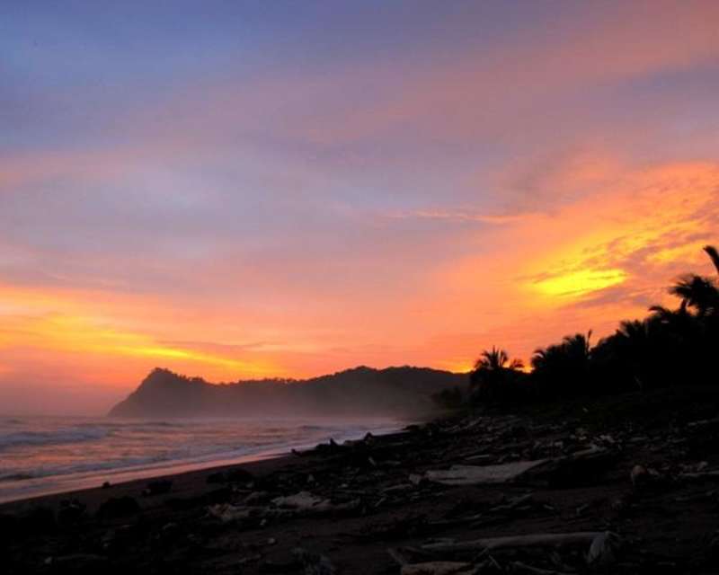 Intern in Costa Rica