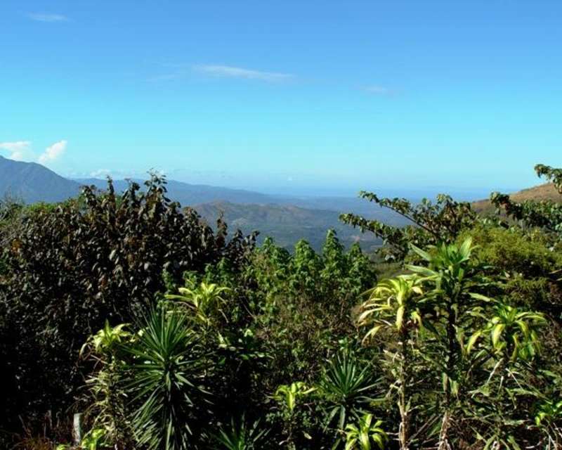 Intern in Costa Rica