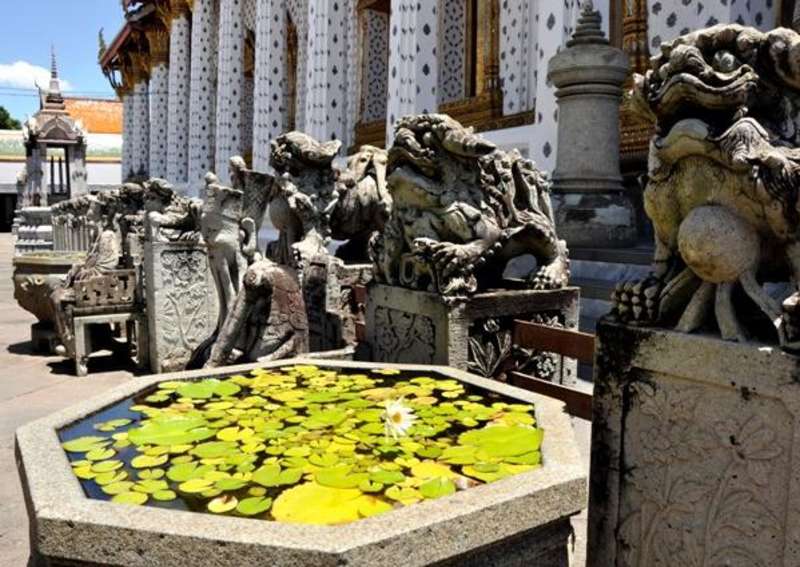 Intern in Bangkok 