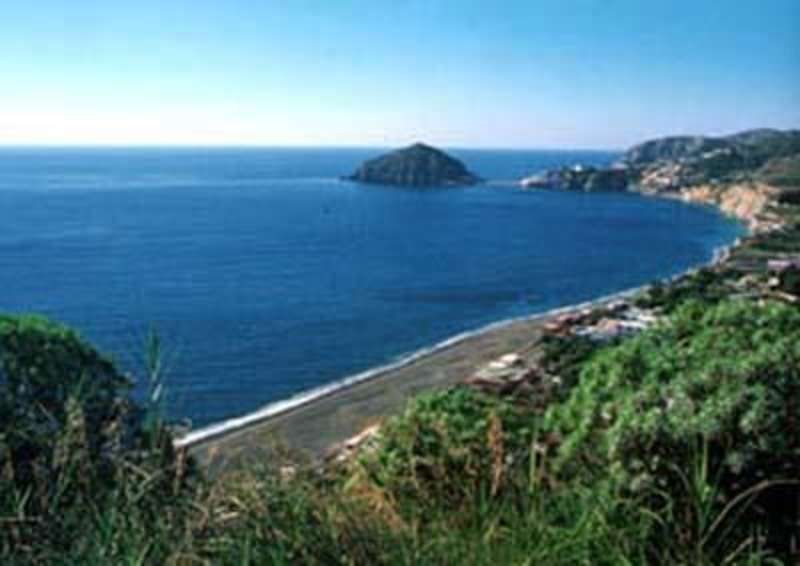 GoEco Italy - Dolphin and Marine Research