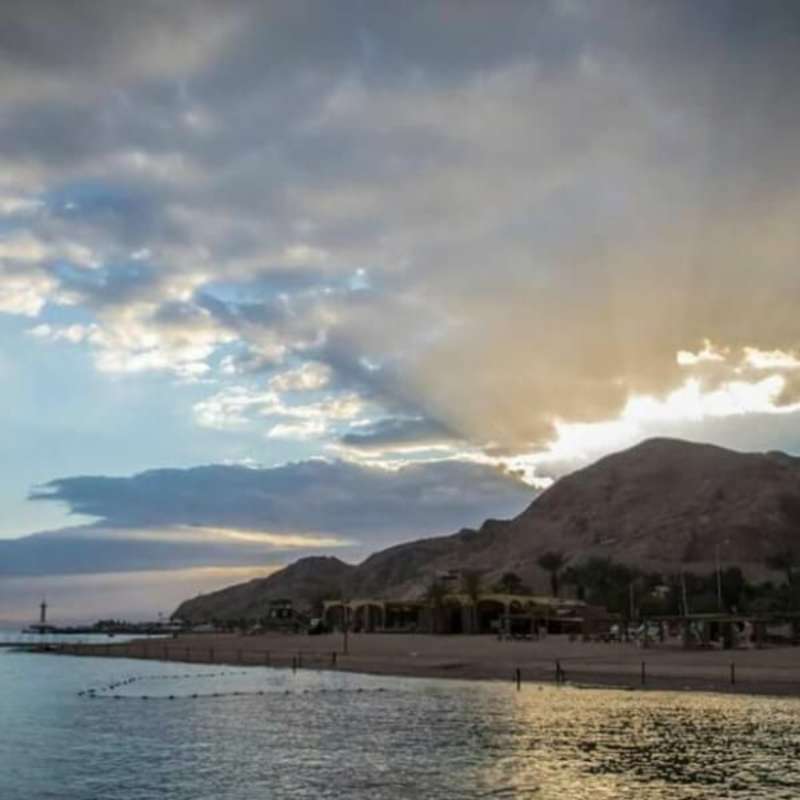GoEco Israel - Coral Reef Conservation