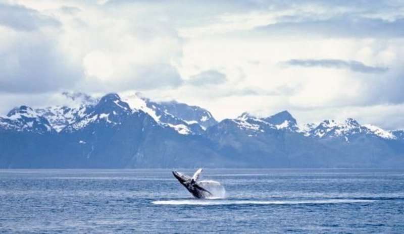 Hawaii & Alaska