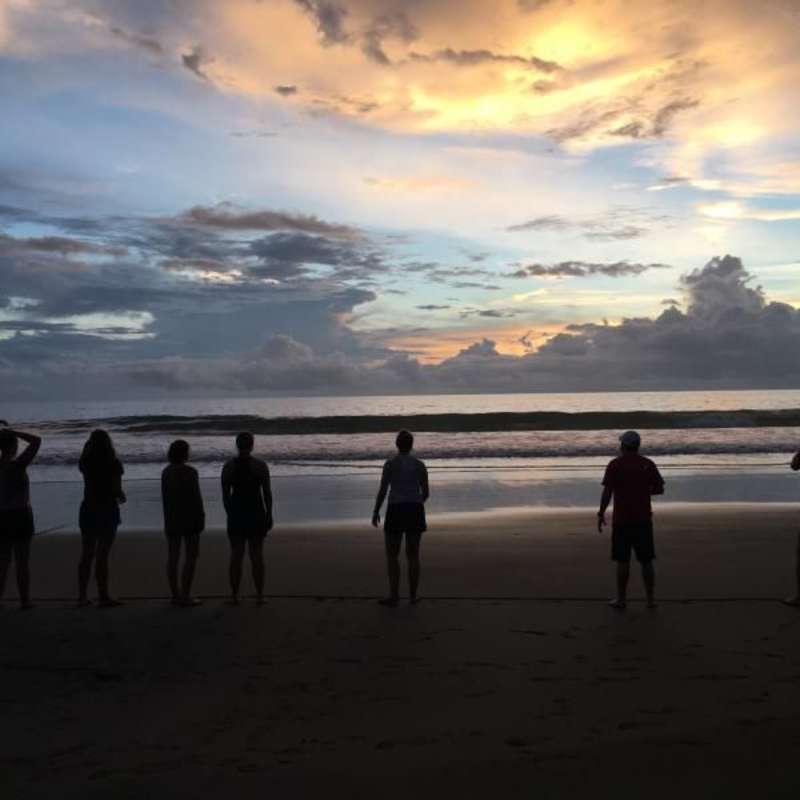 Releasing sea turtles on IVHQ's Turtle Conservation project in Costa Rica