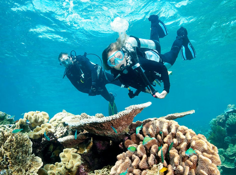 IVHQ Marine Volunteers Inspecting Corals