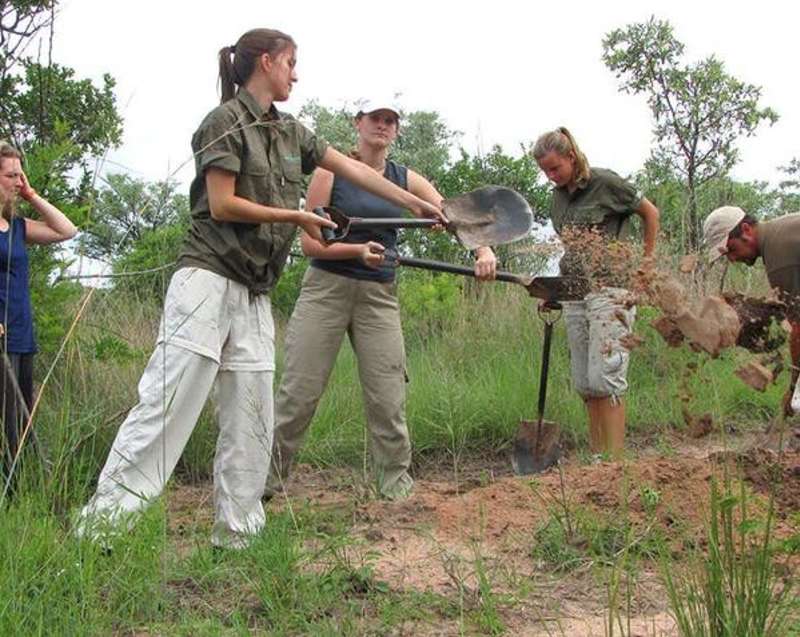 Best South Africa Wildlife Conservation Volunteer Program — photo 2