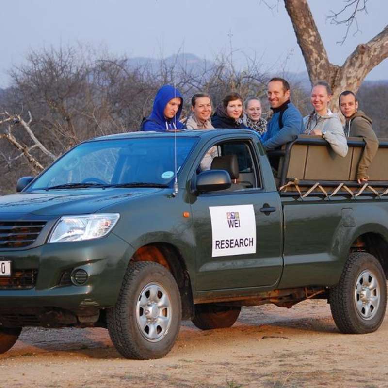 Wildlife Conservation Volunteering in Kruger, Park South Africa