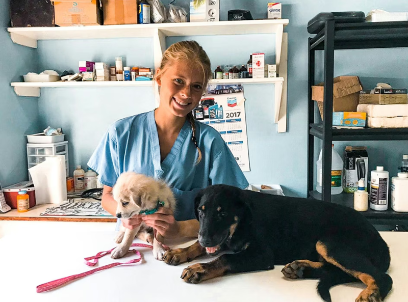 IVHQ Volunteer Checking up on two Dogs in Jamaica 