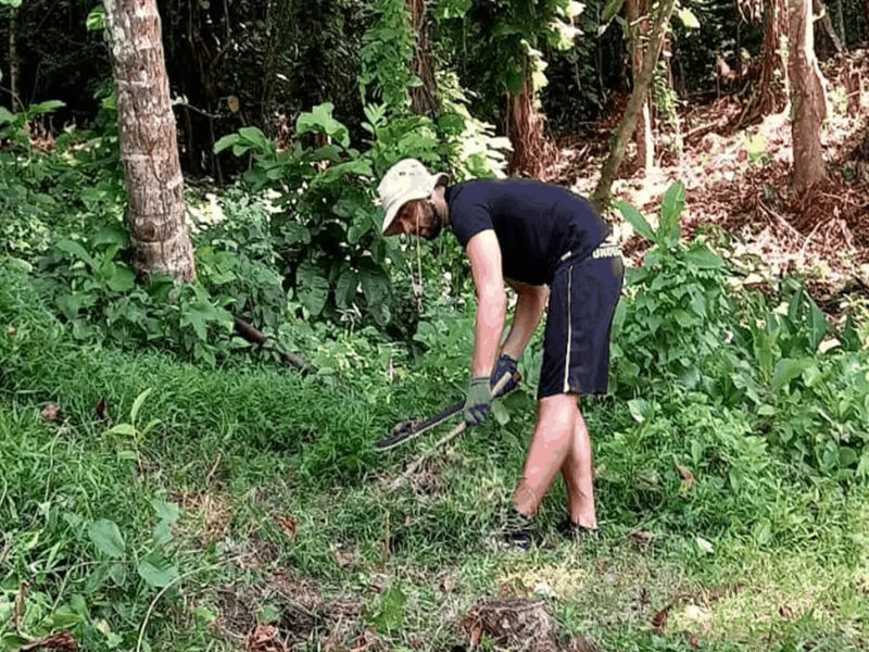 IVHQ Volunteer Clearing brush and Harvesting Crops in Jamaica