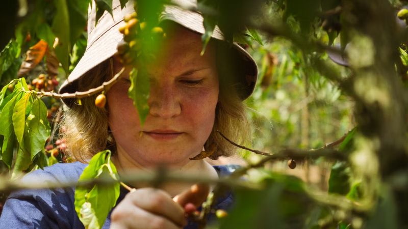 IVHQ Volunteer Participating in the Eco Agriculture Program in Guatemala